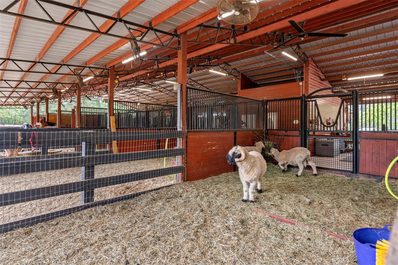 ACERAGE - Residential