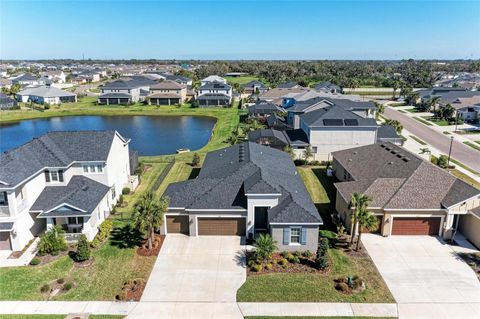 10010 BUCKMAN HALLS DRIVE PALMETTO FL 34221
