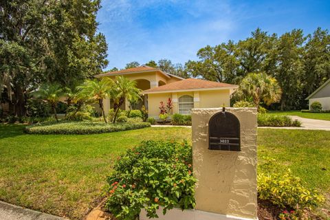 A home in PLANT CITY