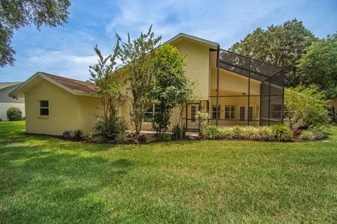 A home in PLANT CITY