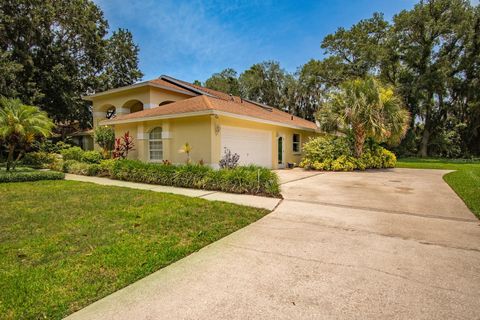 A home in PLANT CITY