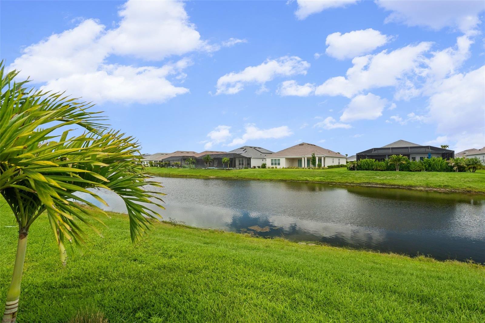 AZARIO AT ESPLANADE - Residential