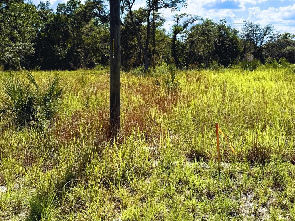Photo of 121 Central Avenue, Davenport, FL 33896 (MLS # TB8520469)