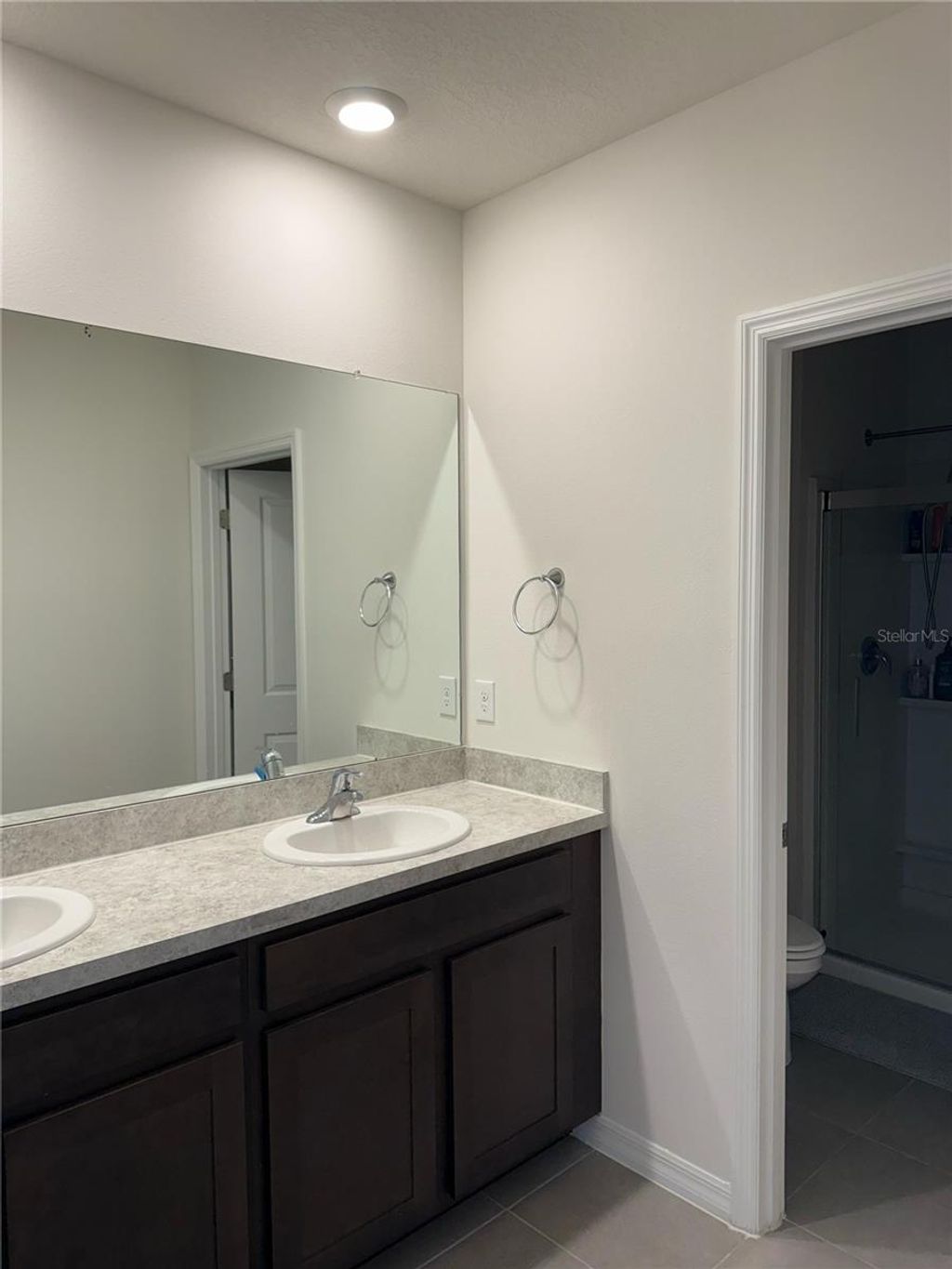 Photo of 16177 Glowing Grove Avenue, Odessa, FL 33556 (MLS # TB8449833)