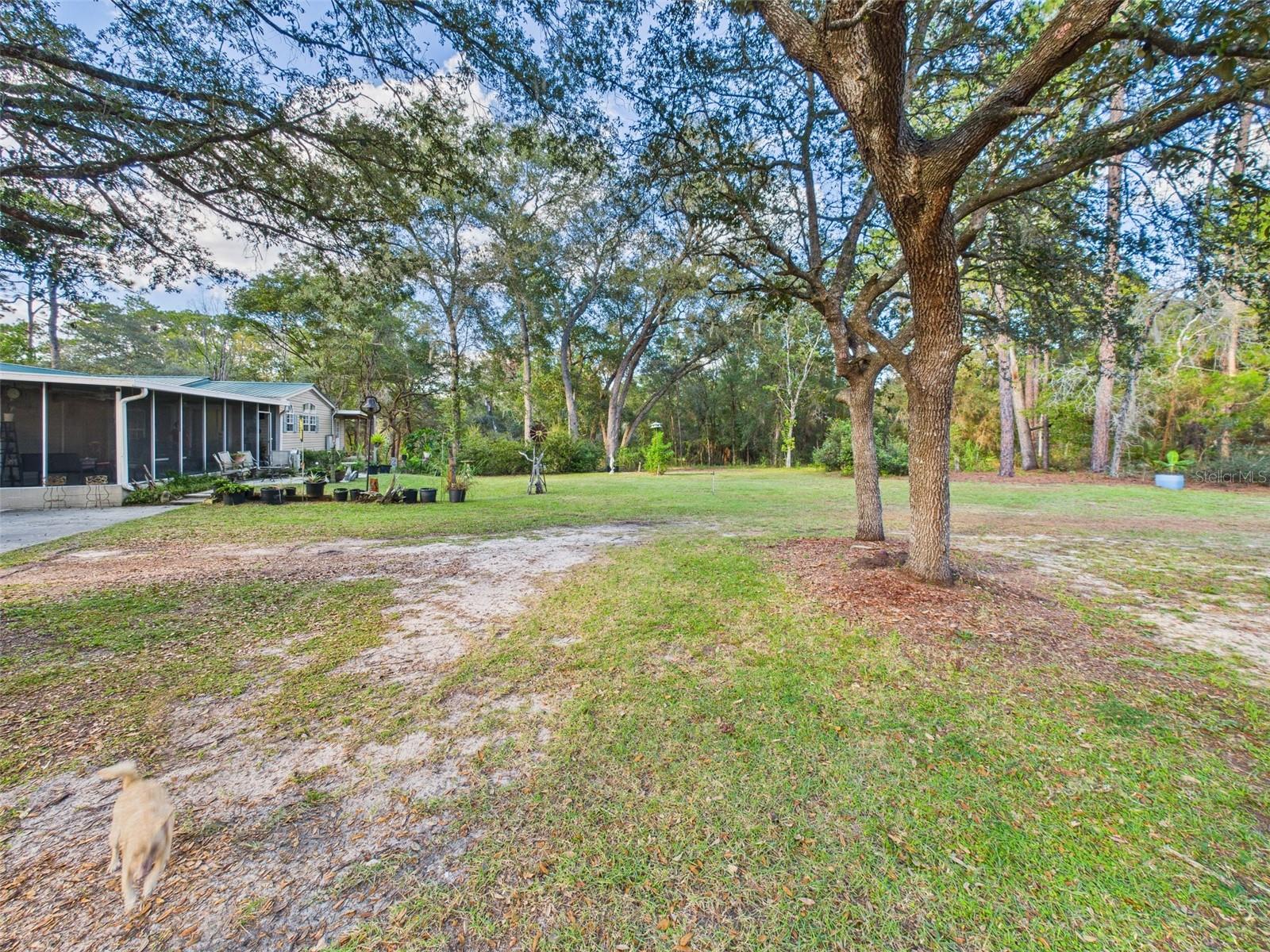 FOREST LAKES PARK BIG STEEP LAKE - Residential
