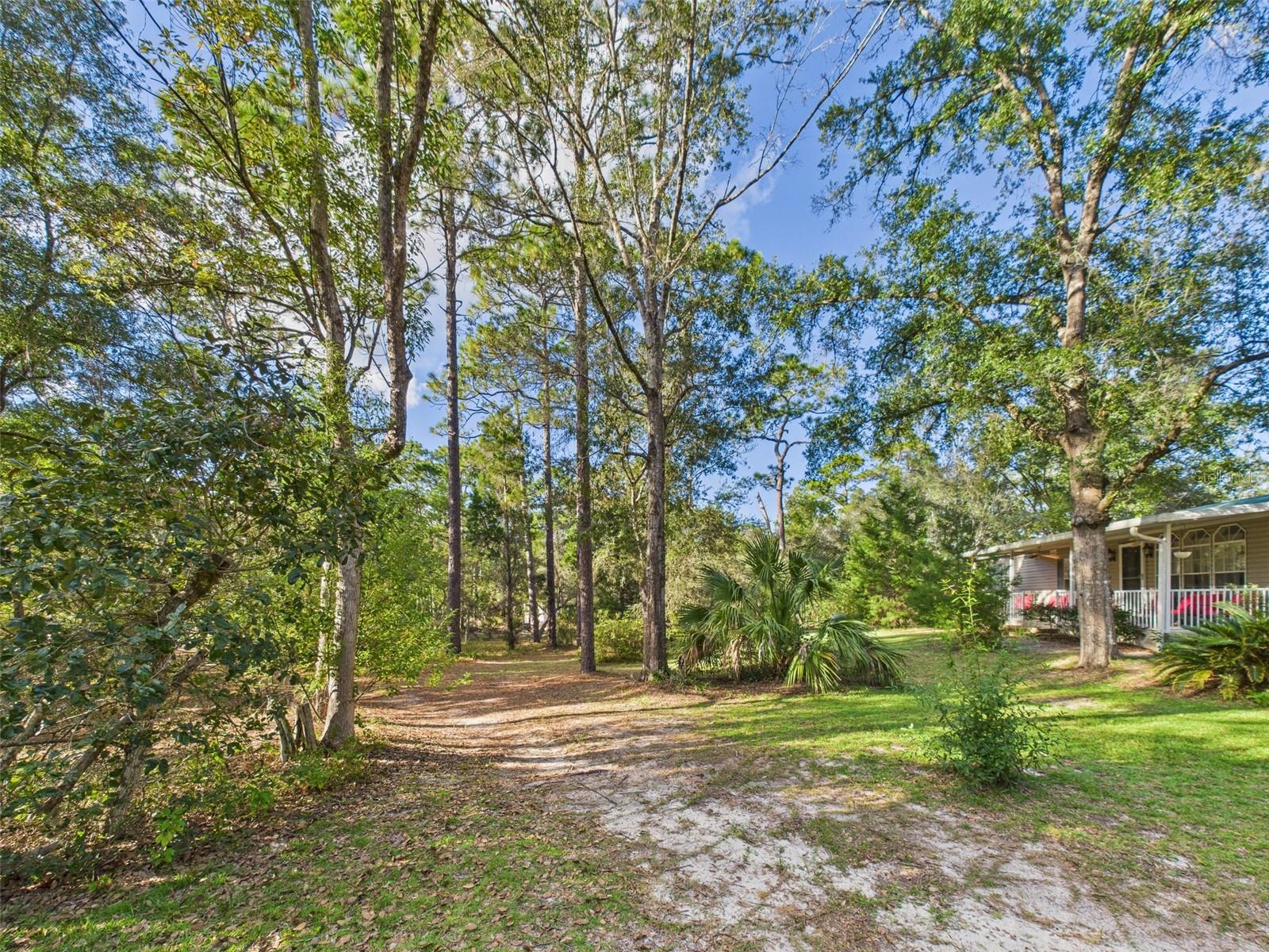 FOREST LAKES PARK BIG STEEP LAKE - Residential