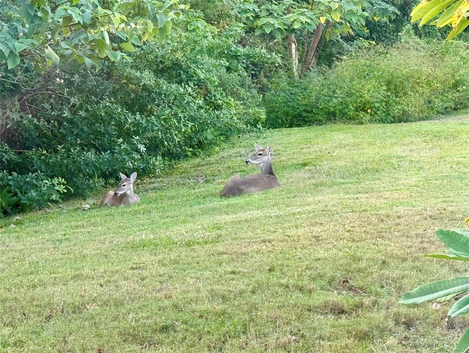 HIGHLAND LAKES - Residential