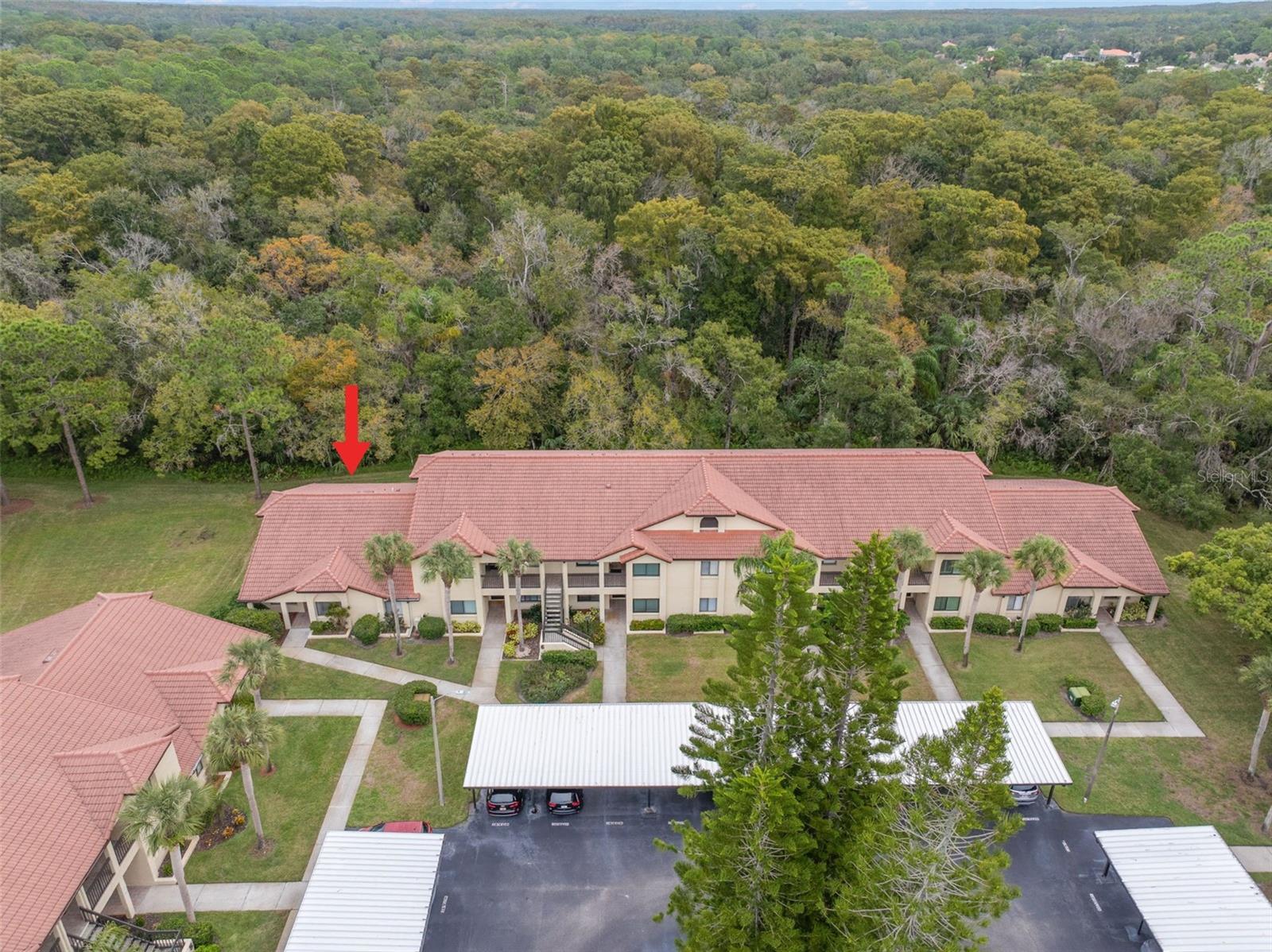 EL PASADO A CONDO - Residential