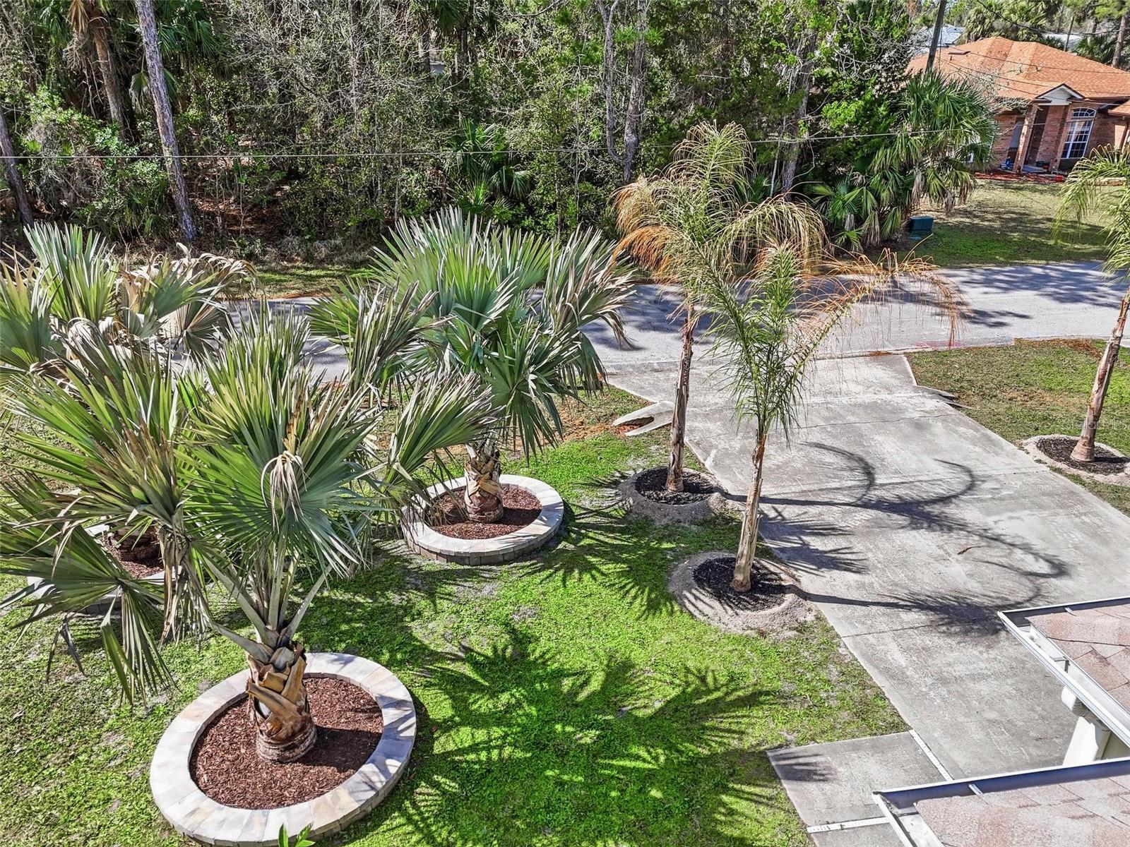 PINE GROVE - Residential