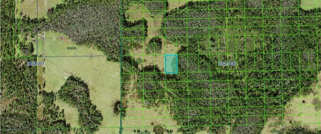 Photo of Judy Rd, Polk City, FL 33868 (MLS # O6266952)
