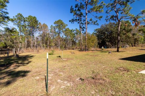 A home in DUNNELLON