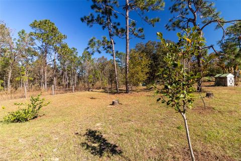 A home in DUNNELLON