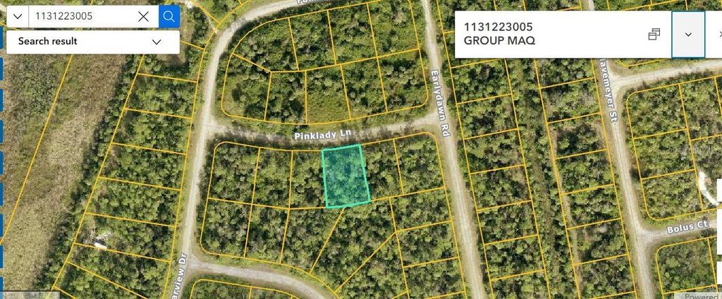 Photo of Pinklady Lane, North Port, FL 34288 (MLS # O6188398)