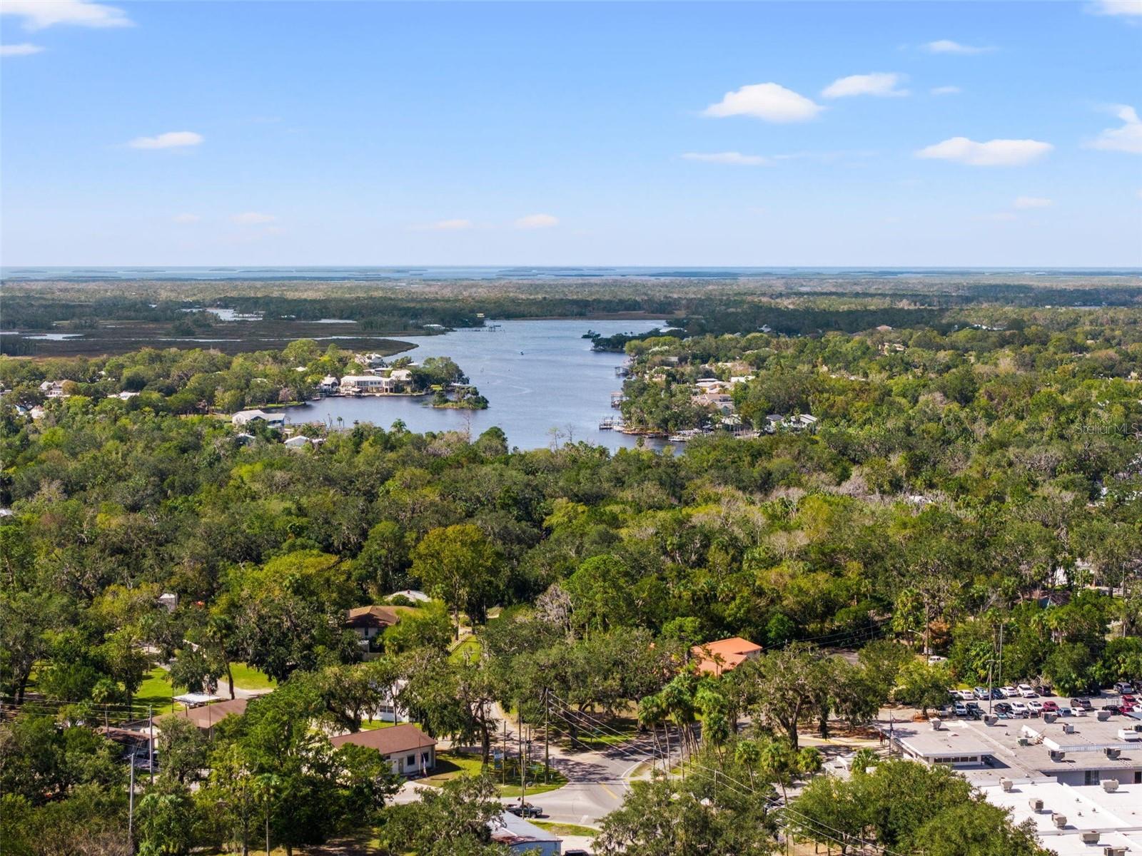 HOMOSASSA TOWN - Residential