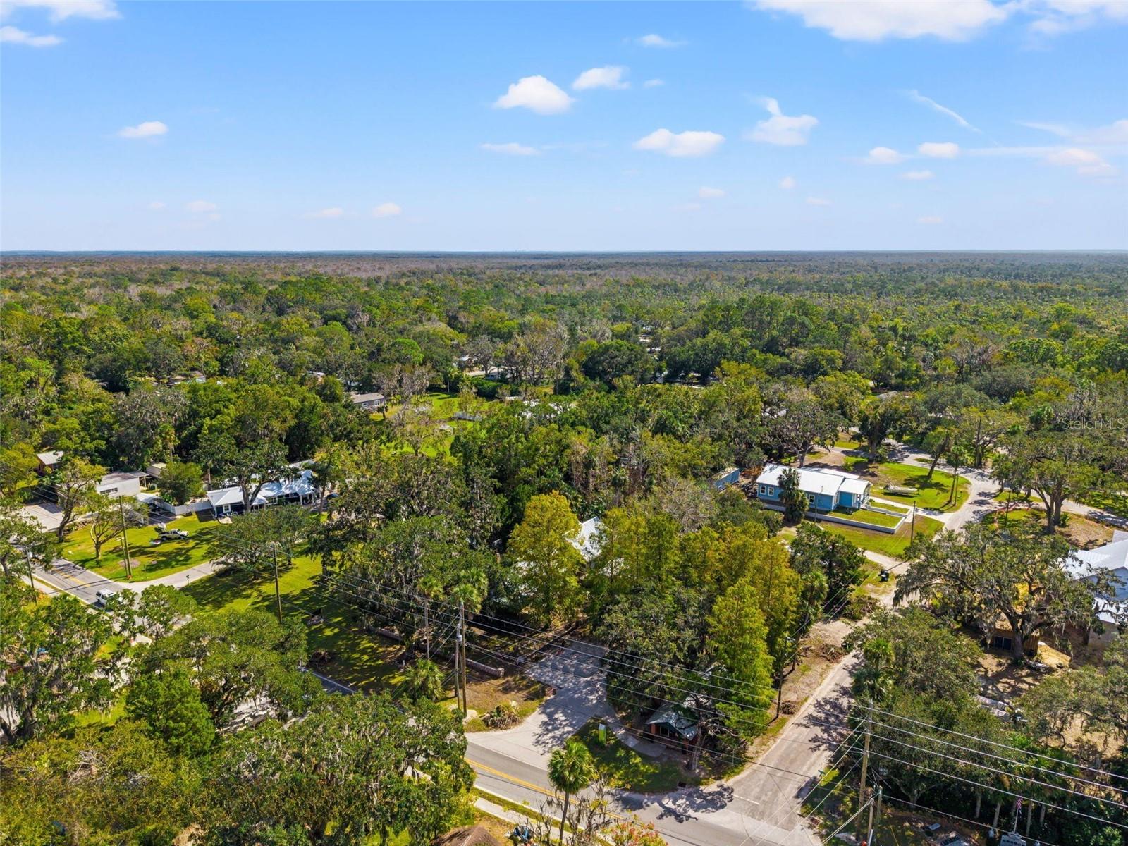 HOMOSASSA TOWN - Residential