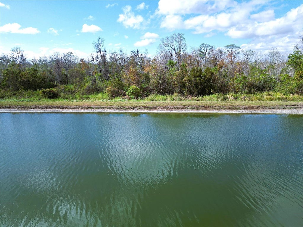 Photo of 465 Adams View Lane, Auburndale, FL 33823 (MLS # L4964408)