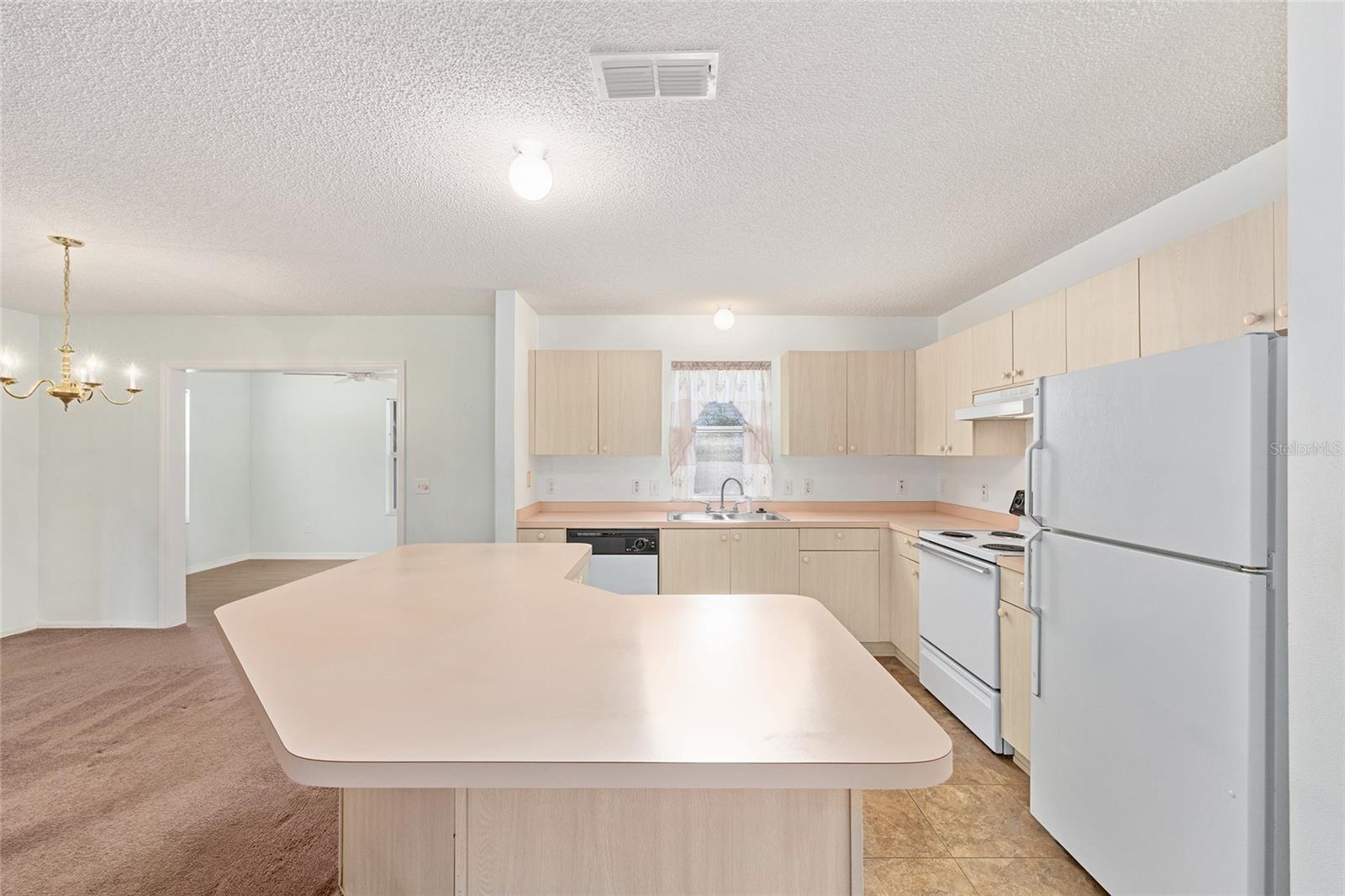 VILLAGES OF SUMTER UNIT 10 - Residential