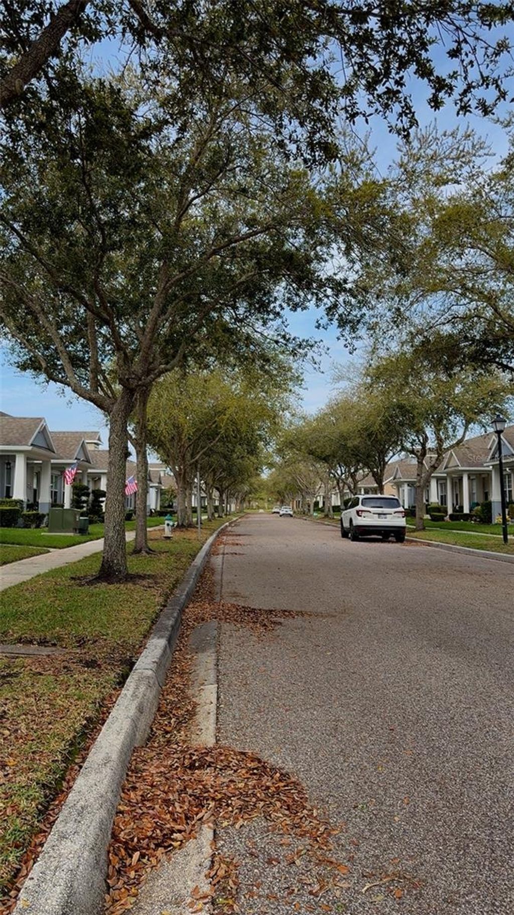 Photo of 14084 Wild Majestic Street, Orlando, FL 32828 (MLS # O6391156)