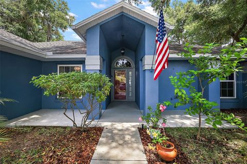 A home in MOUNT DORA