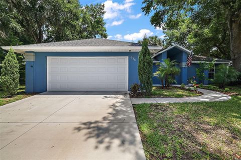 A home in MOUNT DORA