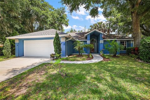 A home in MOUNT DORA