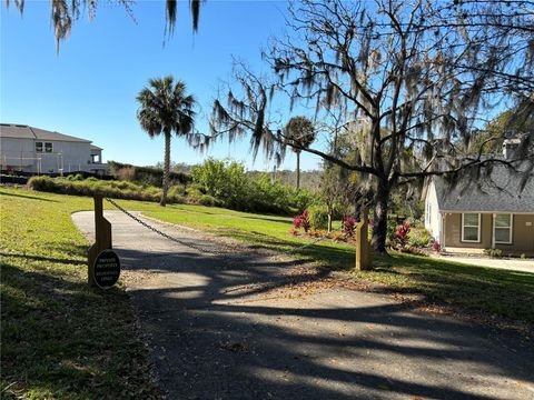 A home in MOUNT DORA