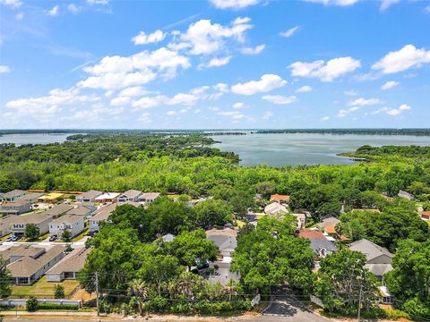 A home in MOUNT DORA