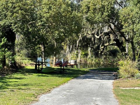 A home in MOUNT DORA