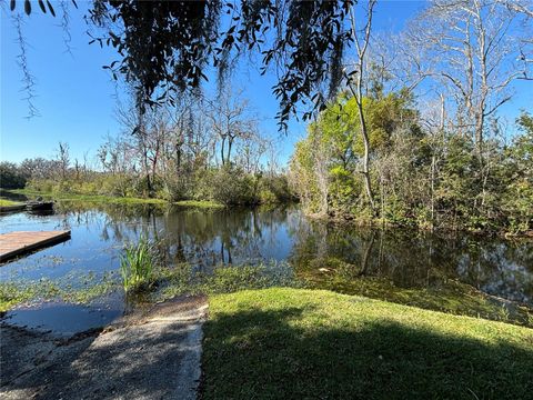 A home in MOUNT DORA