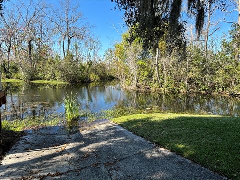 A home in MOUNT DORA