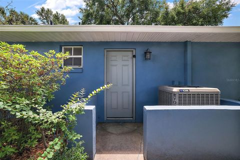 A home in MOUNT DORA