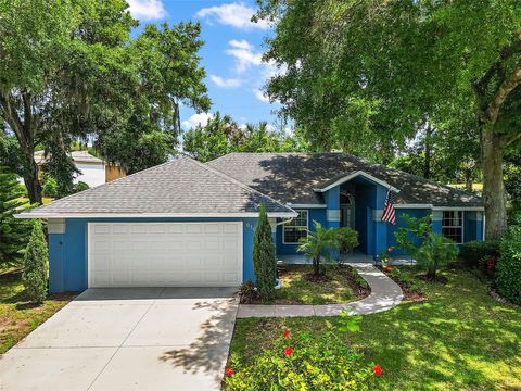 A home in MOUNT DORA