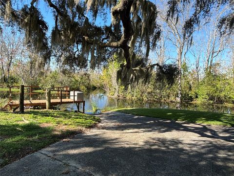 A home in MOUNT DORA