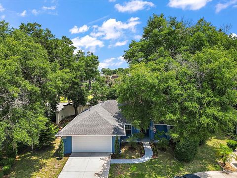 A home in MOUNT DORA