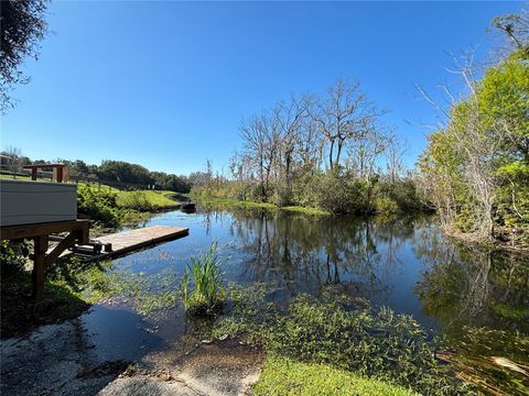 A home in MOUNT DORA