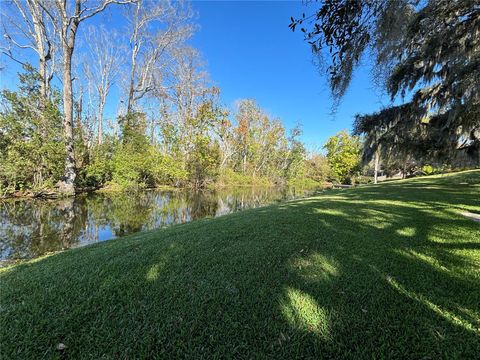 A home in MOUNT DORA