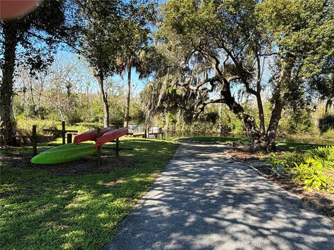 A home in MOUNT DORA