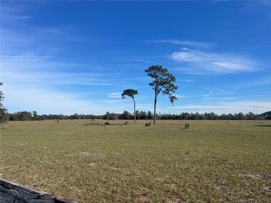 FAIR ST, ASTATULA, FL 34705 - Image b5673142ff7280ea5fd38ed4253e18cf/97778648