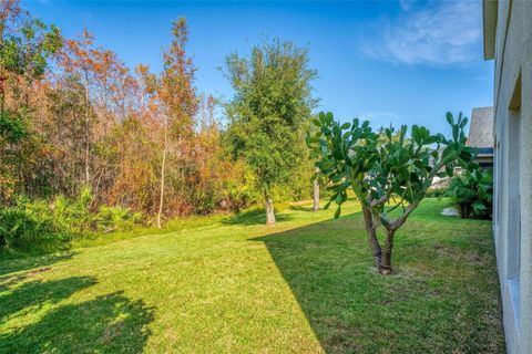 A home in ORLANDO