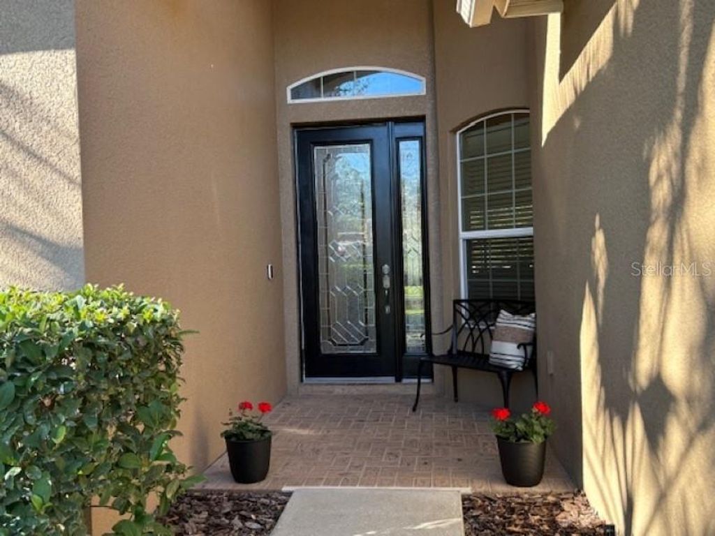 Photo of 3347 Diamond Falls Circle, Land O Lakes, FL 34638 (MLS # TB8478828)