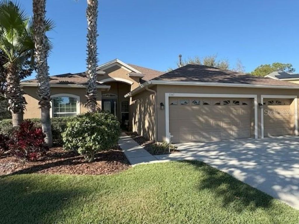 Photo of 3347 Diamond Falls Circle, Land O Lakes, FL 34638 (MLS # TB8478828)