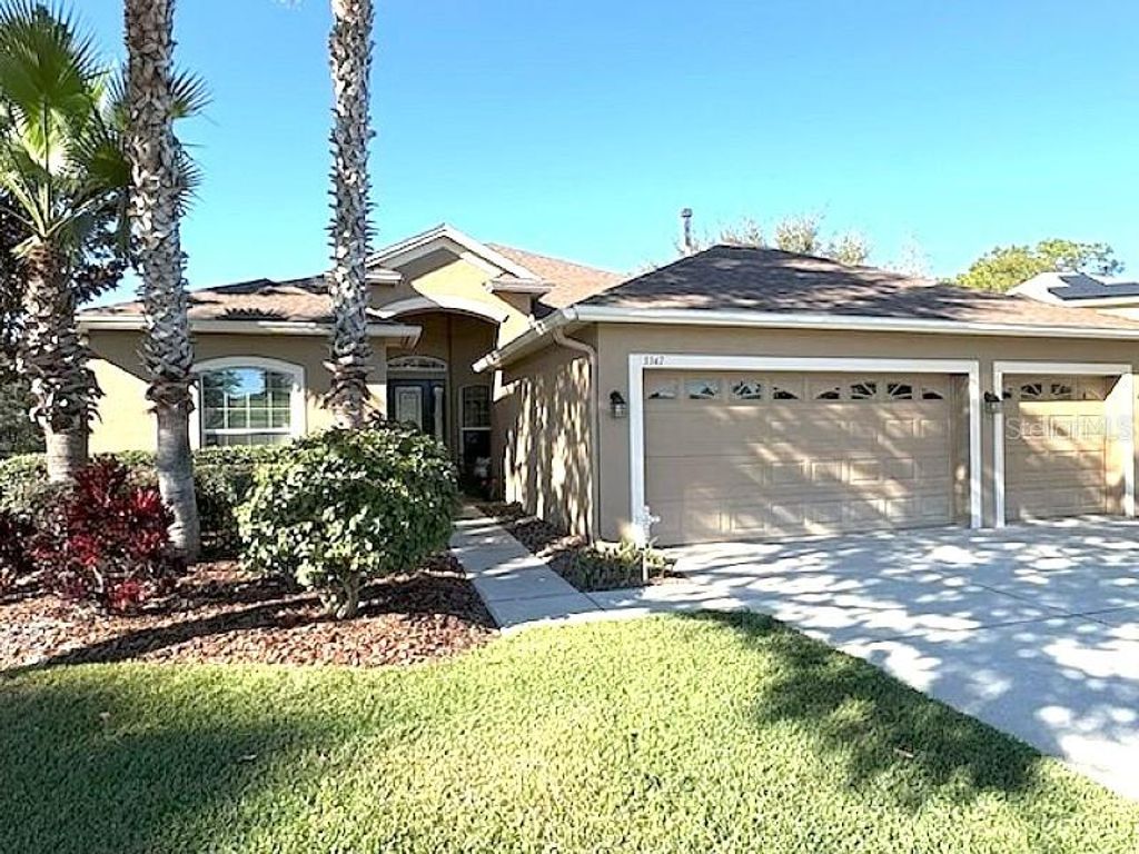 Photo of 3347 Diamond Falls Circle, Land O Lakes, FL 34638 (MLS # TB8478828)