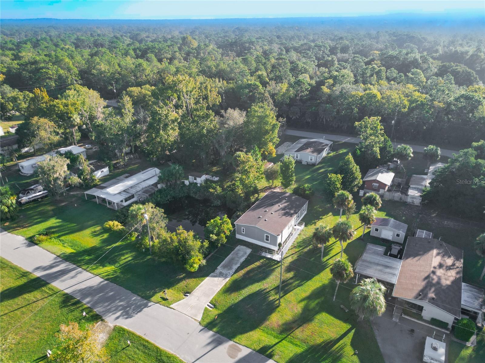 HOMOSASSA UNIT 06 - Residential