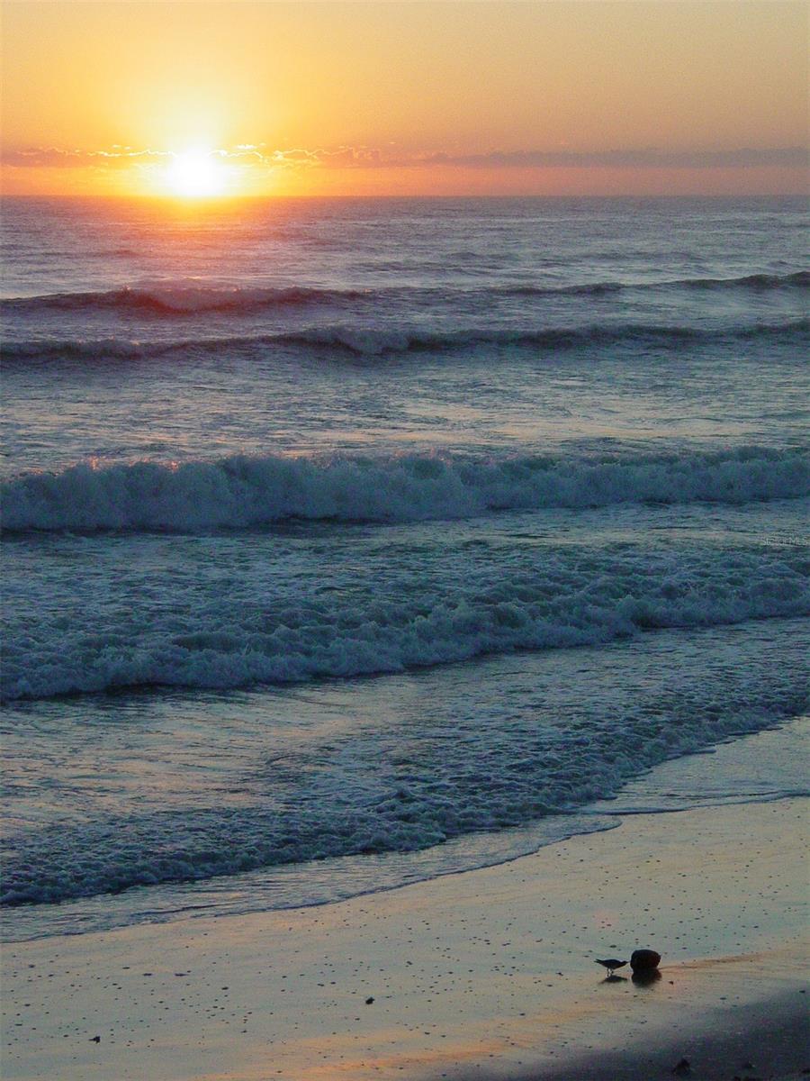 Mariners Cove Condo - Residential