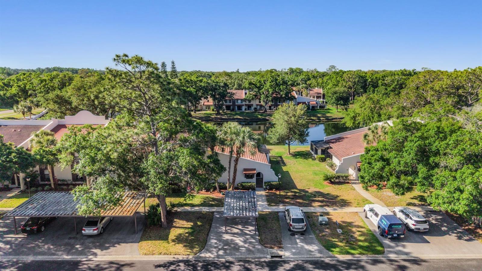 TARPON WOODS CONDO - Residential