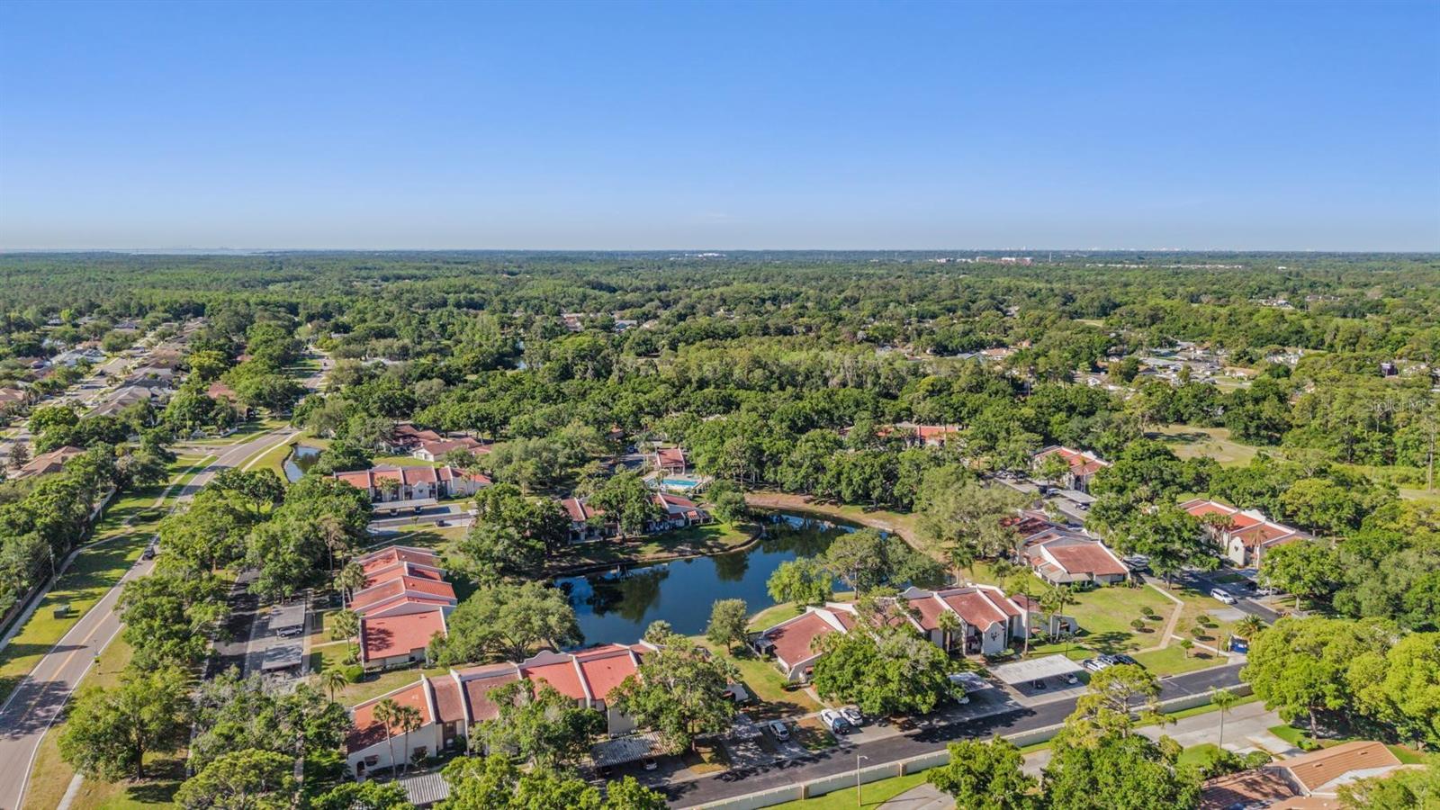 TARPON WOODS CONDO - Residential
