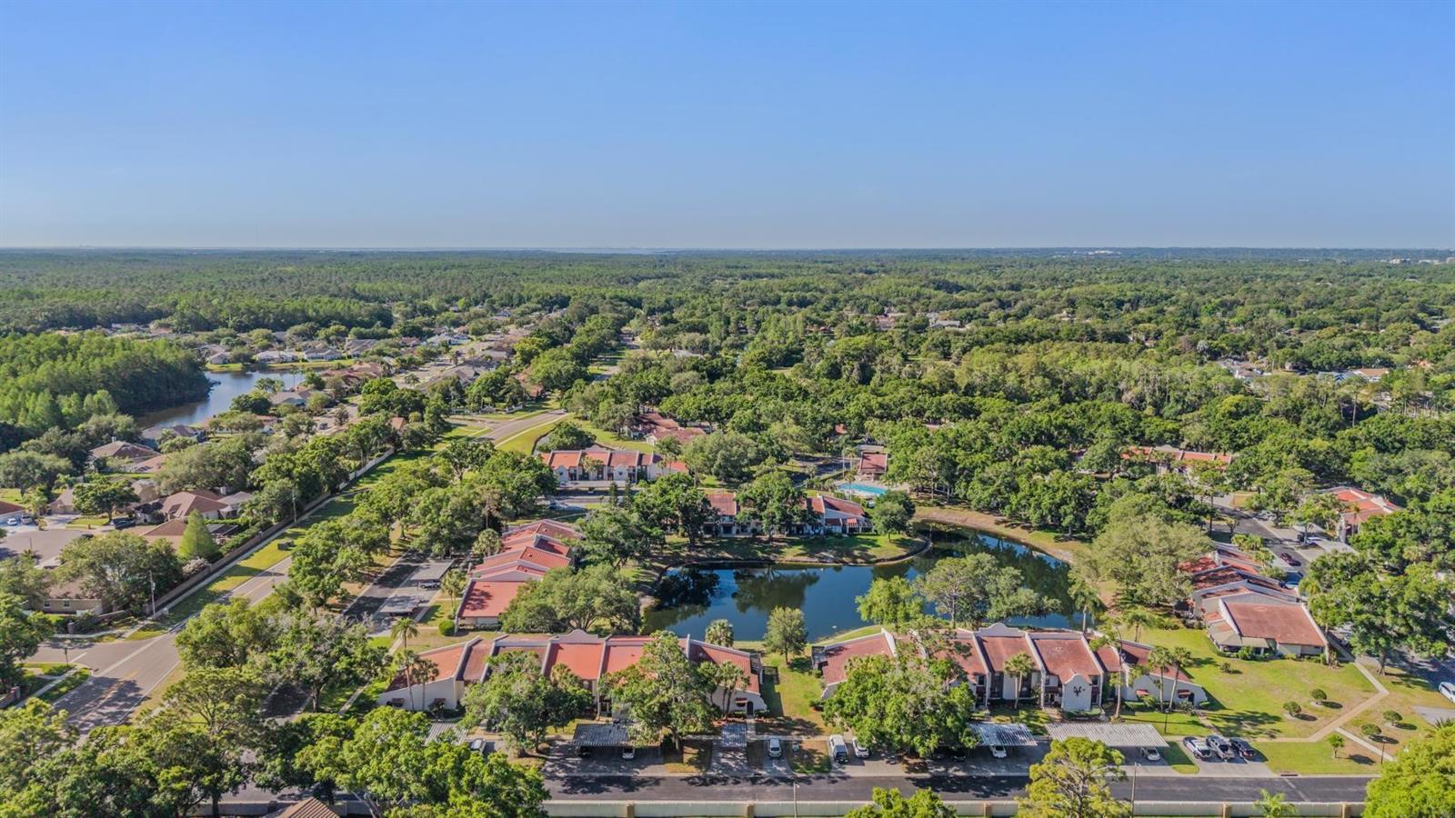 TARPON WOODS CONDO - Residential