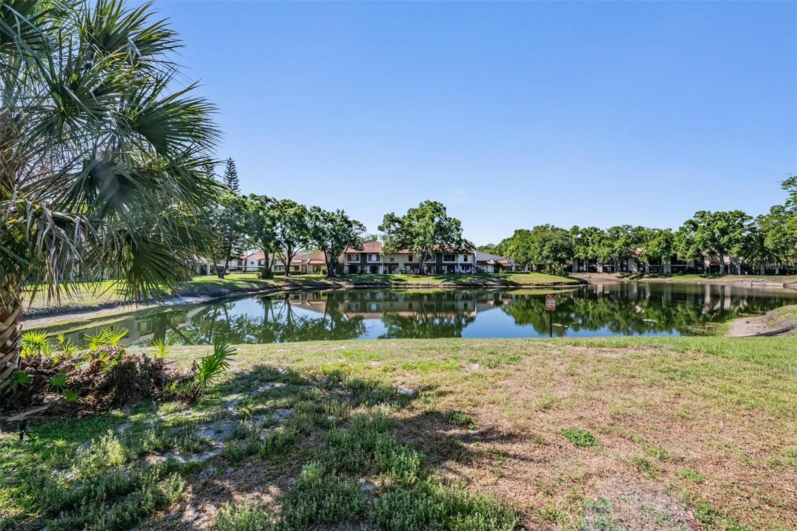 TARPON WOODS CONDO - Residential