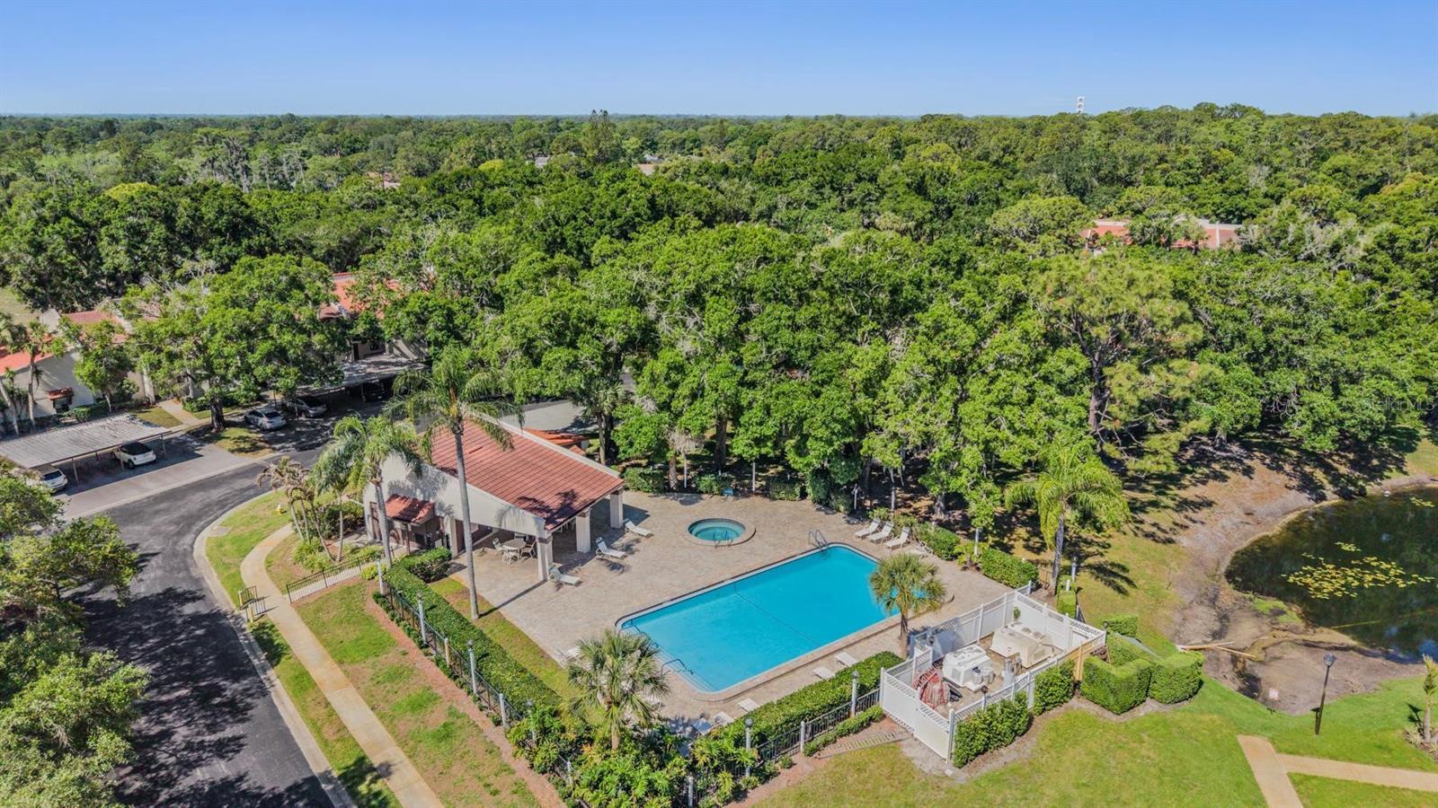 TARPON WOODS CONDO - Residential