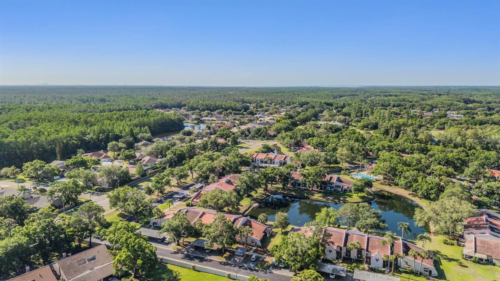 TARPON WOODS CONDO - Residential